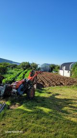 팜모닝 · 게시글 이미지