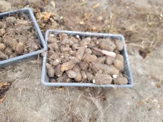 박치문님의 자유주제 · 자유게시판 작성글 사진