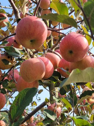 신동익님의 작성글 사진