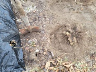 박치문님의 자유주제 · 자유게시판 작성글 사진