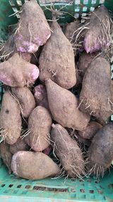 팜모닝 · 게시글 이미지