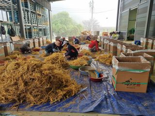 모두팜님의 작성글 사진