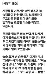 팜모닝 자유주제·자유게시판 게시글 이미지