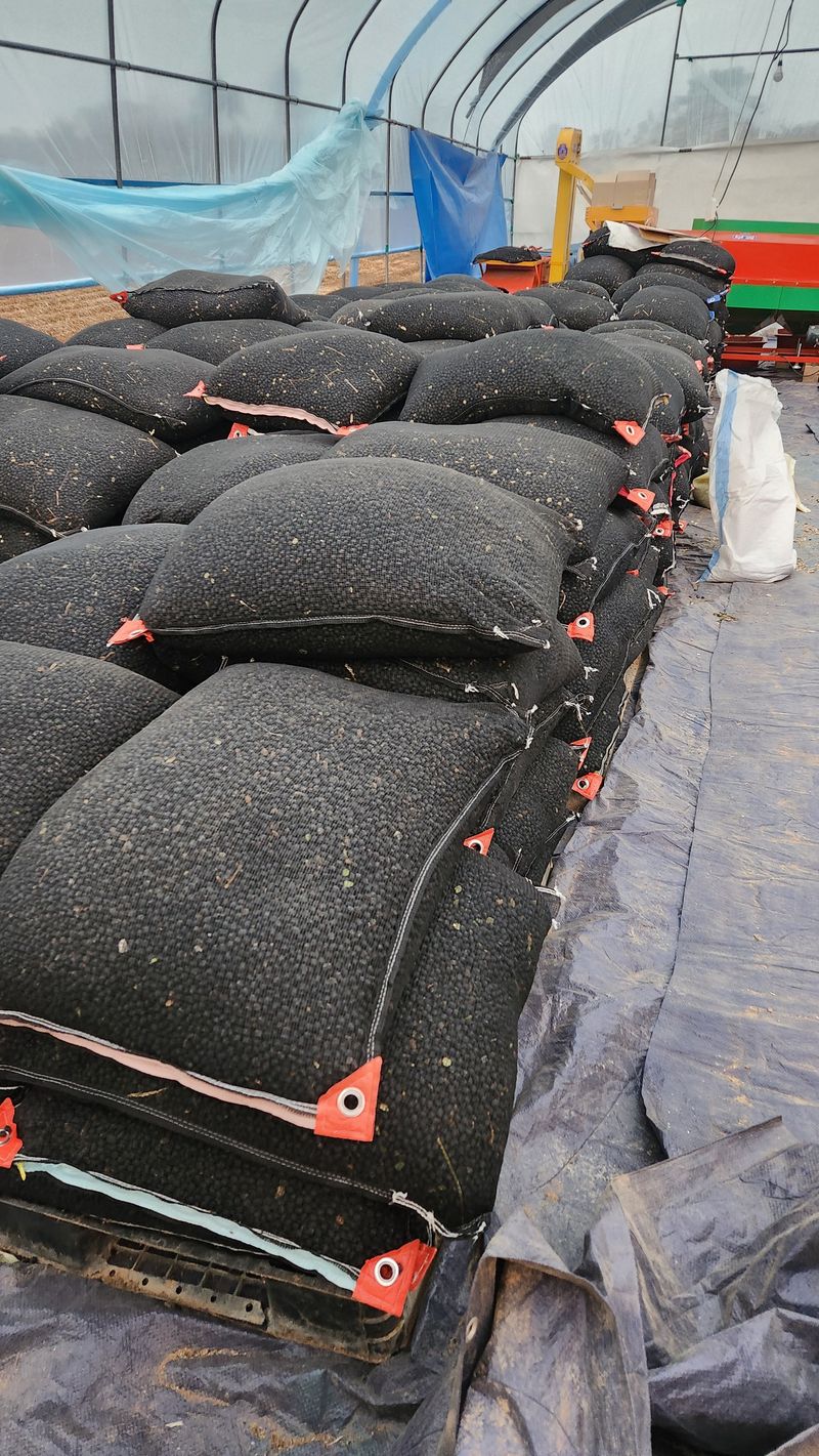 한정수님의 장터 판매 상품 [25년산 서리태] 첨부 사진