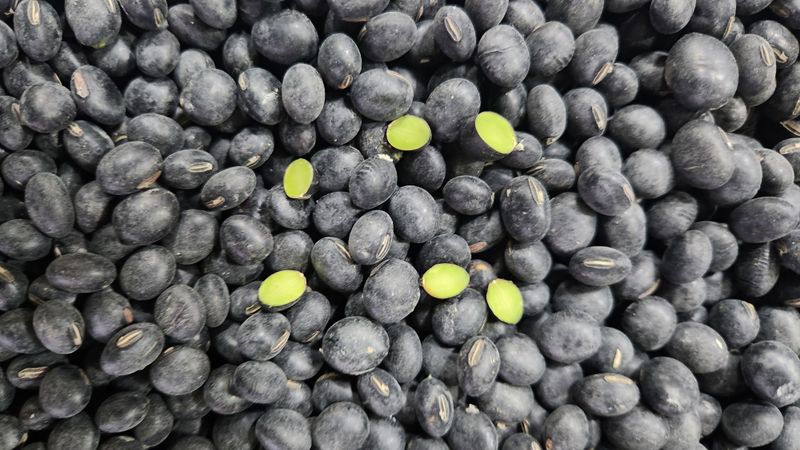 장터 상품 [25년산 서리태] 썸네일