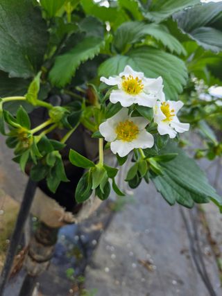 안성화님의 자유주제 · 자유게시판 작성글 사진