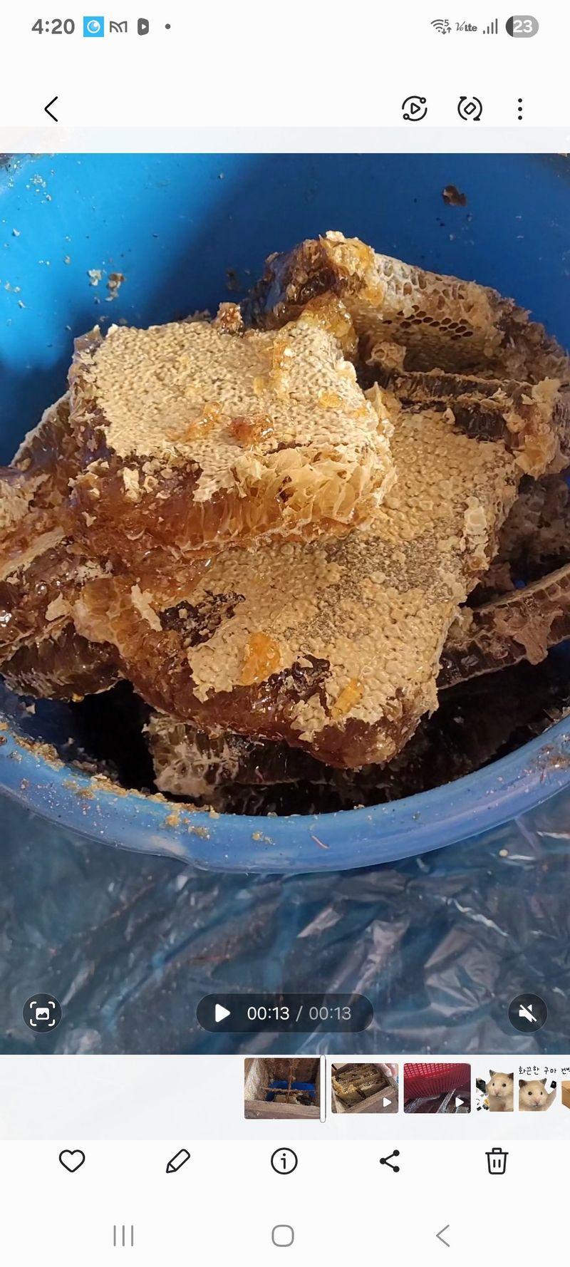 원인호님의 장터 판매 상품 [진짜 토종벌꿀2.4kg] 첨부 사진