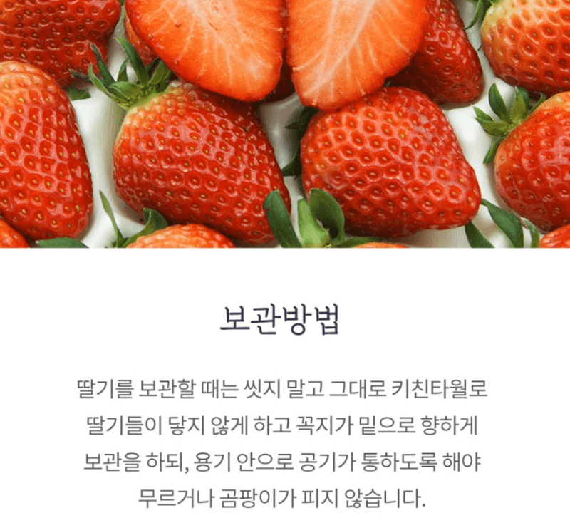 스피드번님의 장터 판매 상품 [논산 설향딸기] 첨부 사진