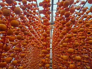 백용기님의 자유주제 · 자유게시판 작성글 사진