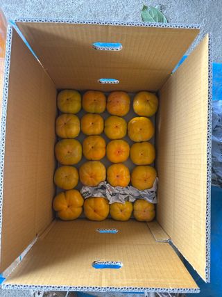 단감대봉시금치당님의 작성글 사진