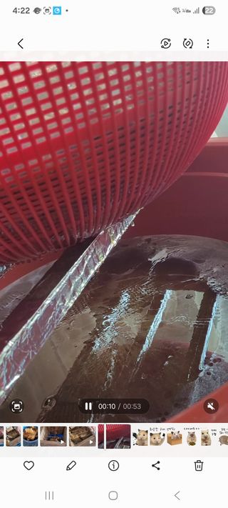 원인호님의 작성글 사진