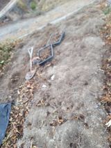 팜모닝 자유주제·자유게시판 게시글 이미지