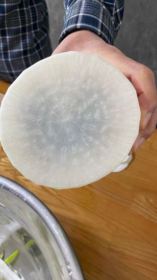 김지석님의 자유주제 · 자유게시판 작성글 사진