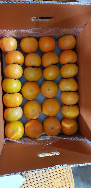 하동삼삼오오님의 작성글 사진