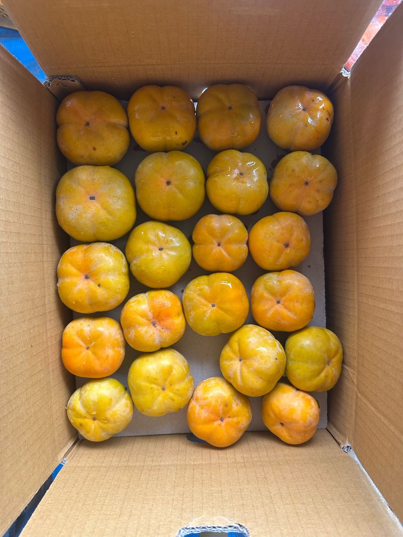 단감대봉시금치당님의 장터 판매 상품 [단감 차량 또는 부유] 첨부 사진