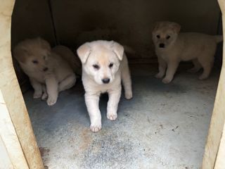산희농원님의 자유주제 · 자유게시판 작성글 사진