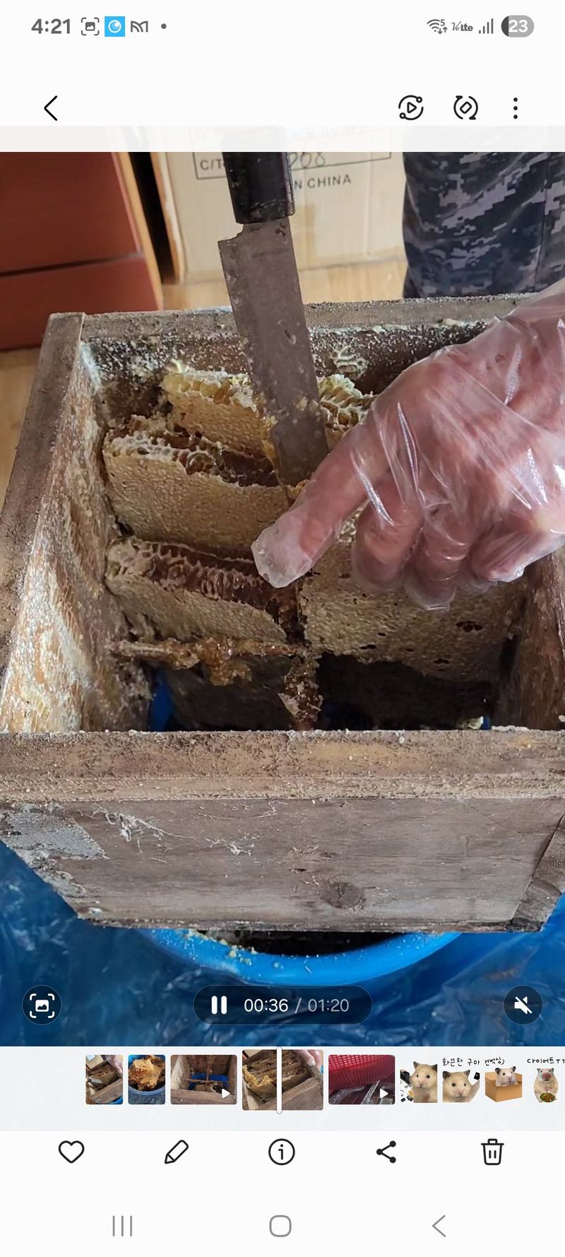 원인호님의 장터 판매 상품 [진짜 토종벌꿀2.4kg] 첨부 사진