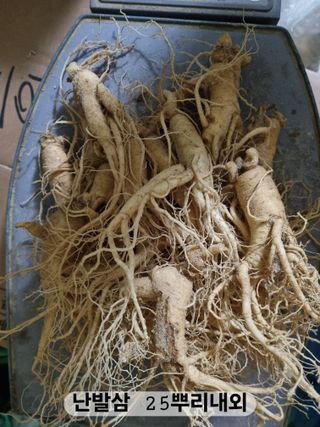 모두팜님의 작성글 사진