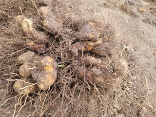 박치문님의 자유주제 · 자유게시판 작성글 사진