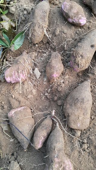 정보센터님의 작성글 사진