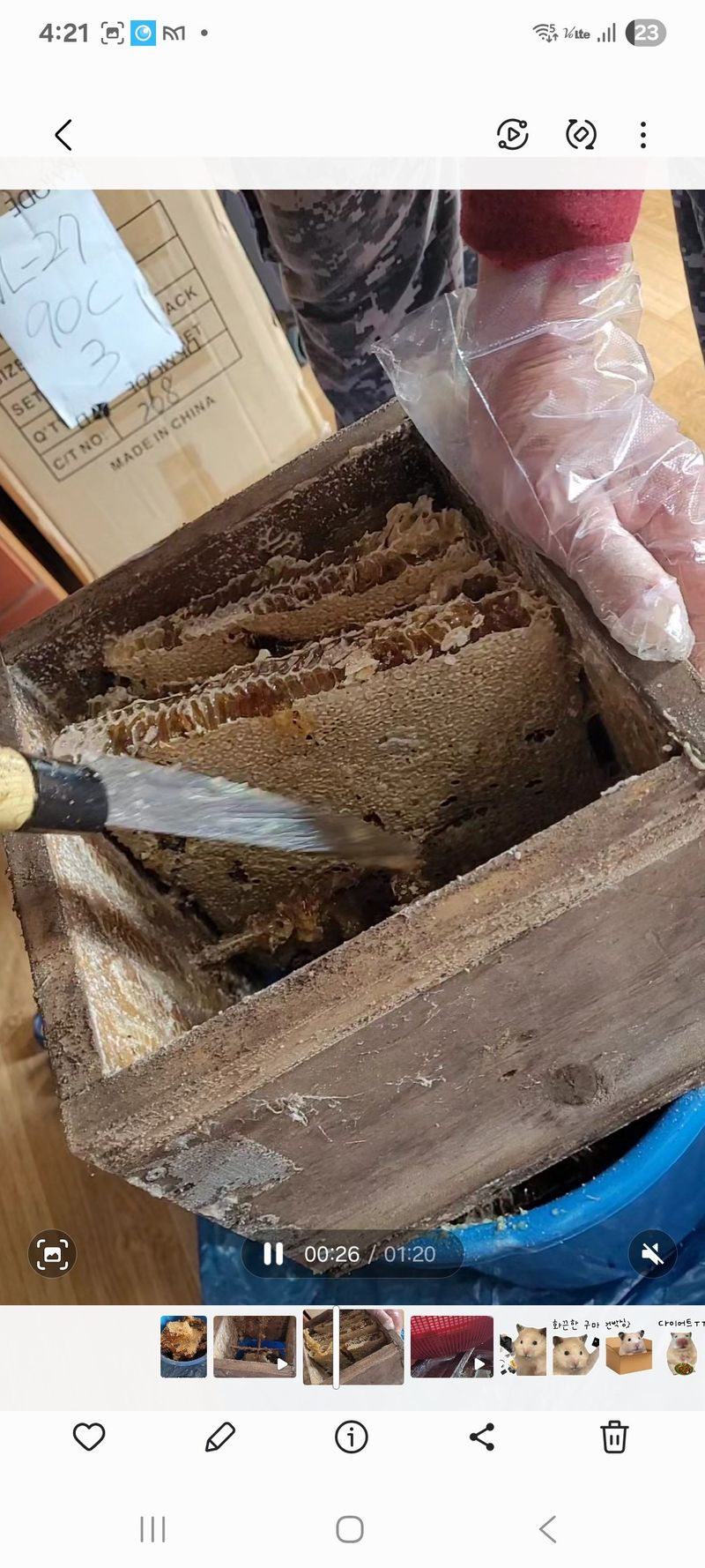 원인호님의 장터 판매 상품 [진짜 토종벌꿀2.4kg] 첨부 사진