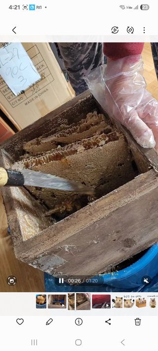 원인호님의 작성글 사진