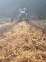 팜모닝 · 게시글 이미지