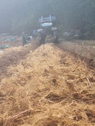 모두팜님의 작성글 사진
