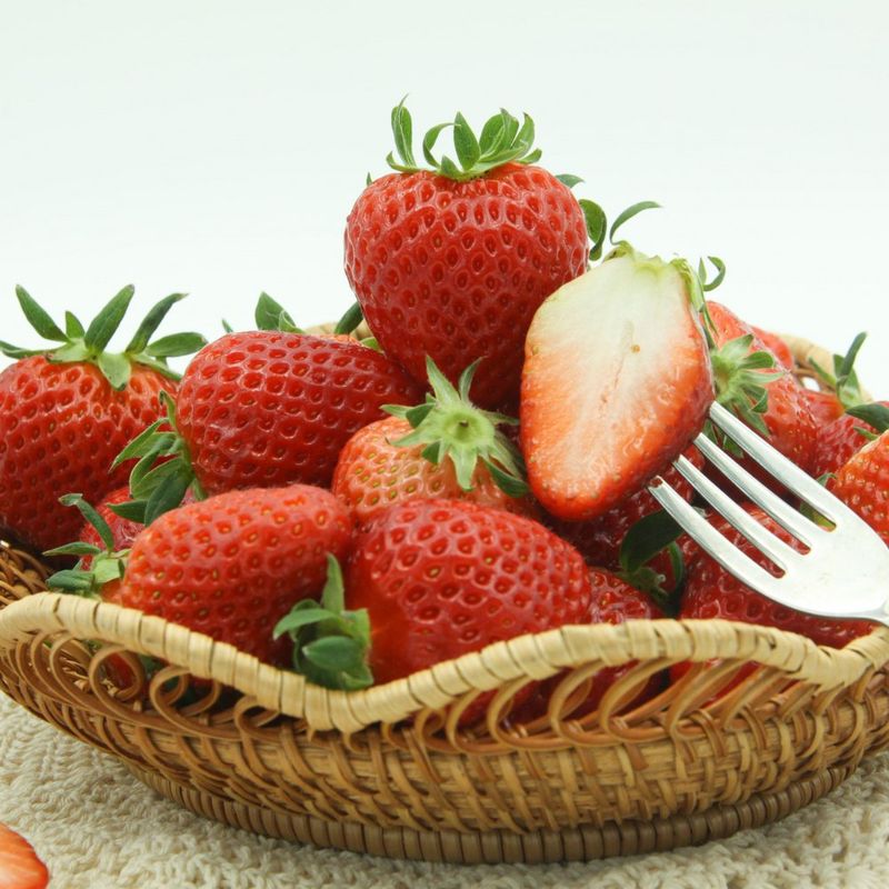 스피드번님의 장터 판매 상품 [논산 설향딸기] 첨부 사진