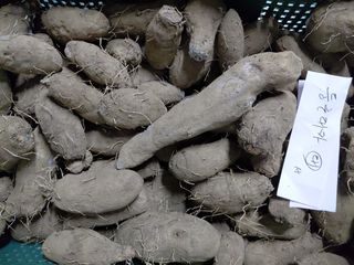 정보센터님의 작성글 사진