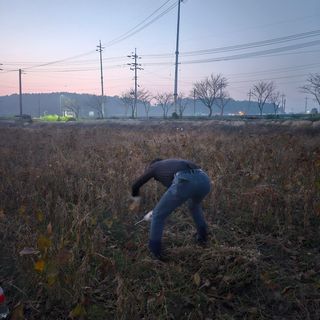 희찬모(정정자)님의 자유주제 · 자유게시판 작성글 사진