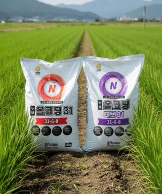 누보농장님의 자유주제 · 자유게시판 작성글 사진