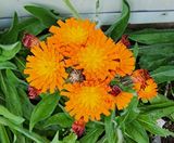 팜모닝 자유주제·자유게시판 게시글 이미지