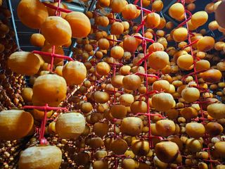 백용기님의 자유주제 · 자유게시판 작성글 사진