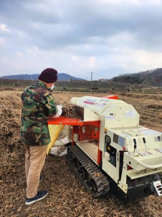 새싹농장님의 자유주제 · 자유게시판 작성글 사진