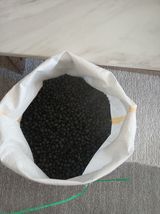 팜모닝 · 게시글 이미지