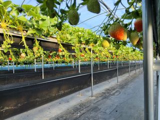 정수광님의 자유주제 · 사진전 작성글 사진