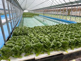 바른농산님의 자유주제 · 자유게시판 작성글 사진