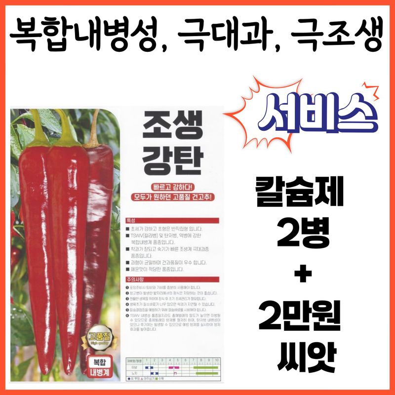 장터 상품 [아시아종묘 조생강탄 1200립 복합내병계 극대과 극조생종] 썸네일
