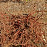 팜모닝 · 게시글 이미지