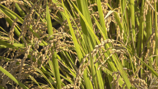 누보농장님의 자유주제 · 자유게시판 작성글 사진