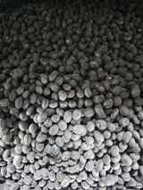 팜모닝 자유주제·자유게시판 게시글 이미지