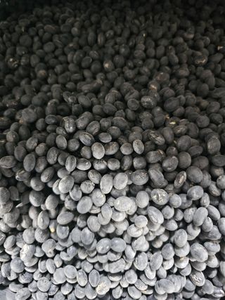 백용기님의 자유주제 · 자유게시판 작성글 사진