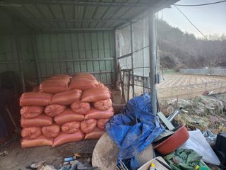 오영도님의 자유주제 · 자유게시판 작성글 사진