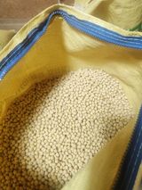 팜모닝 자유주제·자유게시판 게시글 이미지