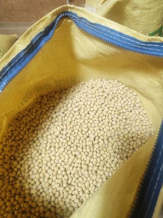 새싹농장님의 자유주제 · 자유게시판 작성글 사진