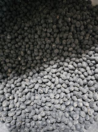 백용기님의 자유주제 · 자유게시판 작성글 사진