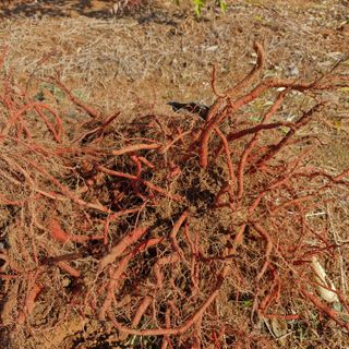 김영준님의 자유주제 · 자유게시판 작성글 사진