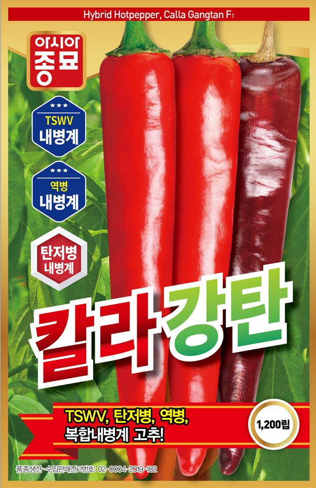 씨앗드림님의 장터 판매 상품 [아시아종묘 칼라강탄 1200립 복합내병계 조생종 대과종] 첨부 사진