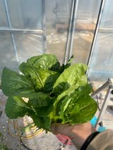 팜모닝 자유주제·자유게시판 게시글 이미지